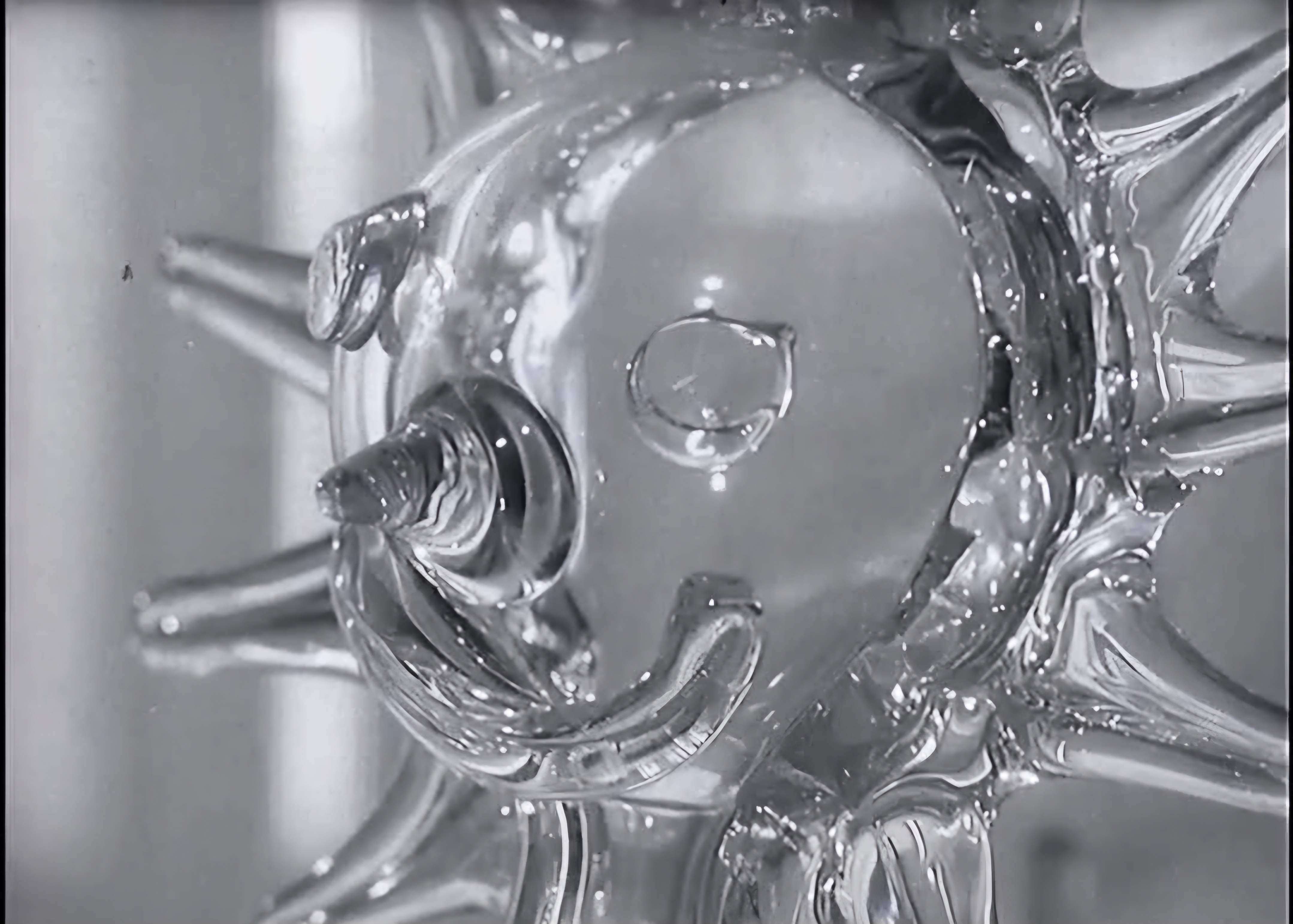 Sklo Ludviky Smrčkové 