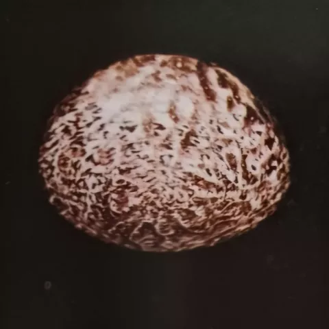348 1 470 705 01