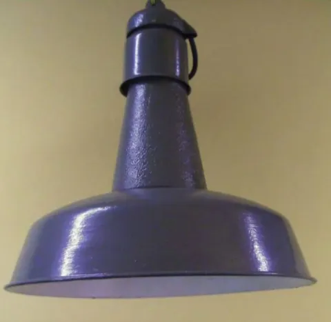 13629