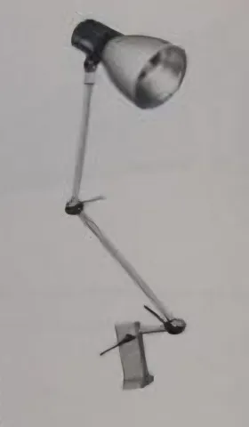 319 06 04