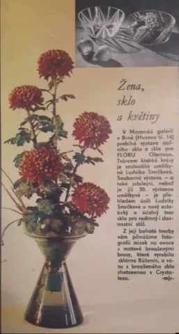 Žena sklo a květiny 