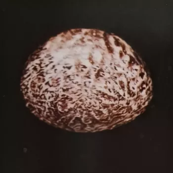 348 1 470 705 01
