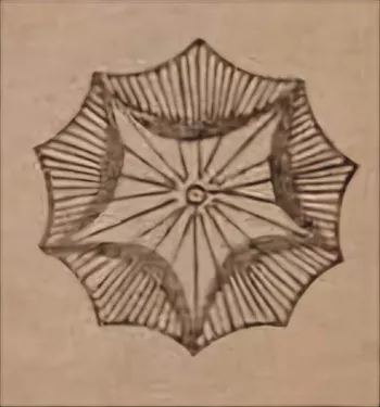 348 1 172 604 01