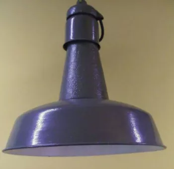 13629
