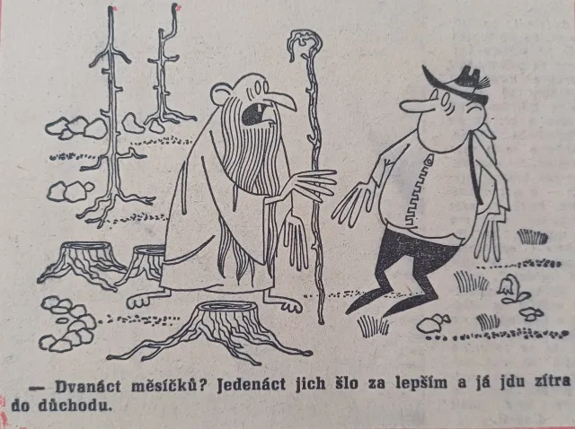 Dikobraz  - fotogalerie