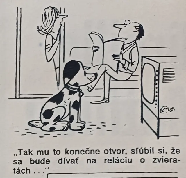 Dikobraz  - fotogalerie