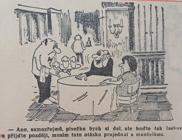 Dikobraz  - fotogalerie