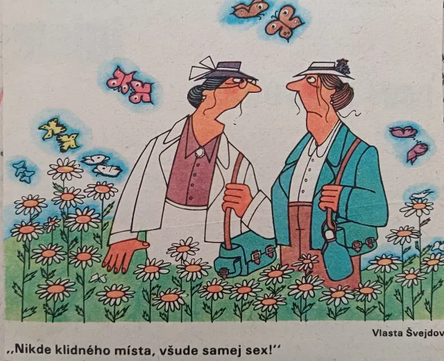 Dikobraz  - fotogalerie