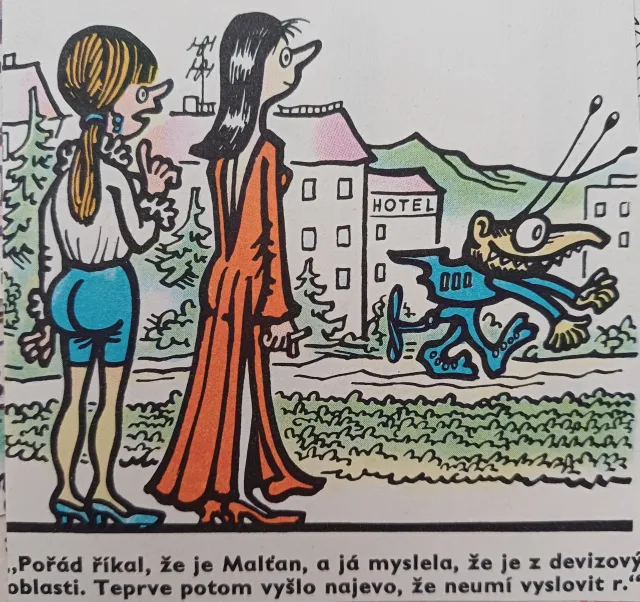 Dikobraz  - fotogalerie