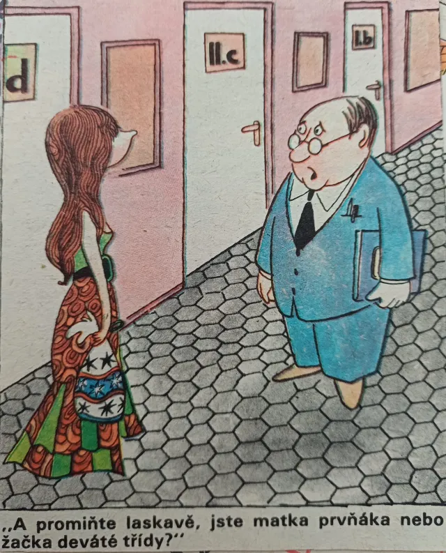 Dikobraz  - fotogalerie