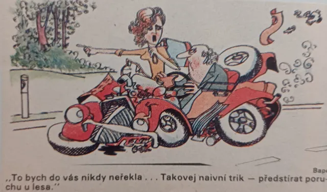 Dikobraz  - fotogalerie