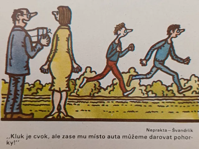 Dikobraz  - fotogalerie