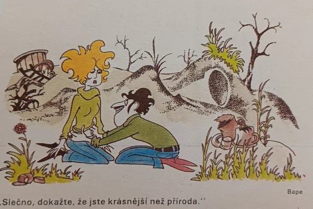 Dikobraz  - fotogalerie