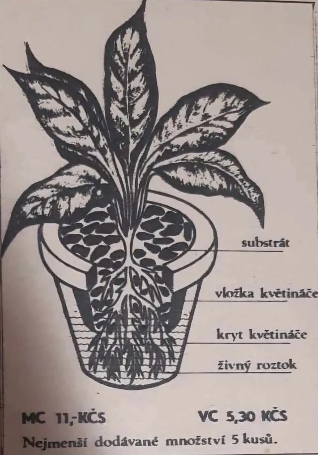 Staré reklamy  - fotogalerie