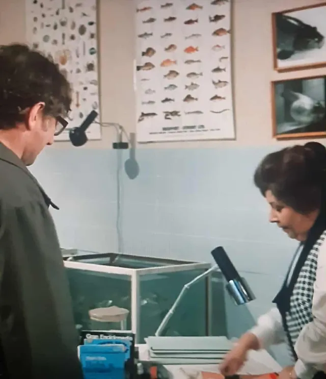 851020 - fotogalerie