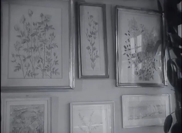 Ludvika Smrčková  - fotogalerie