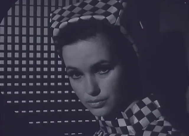 Pop Art  - fotogalerie