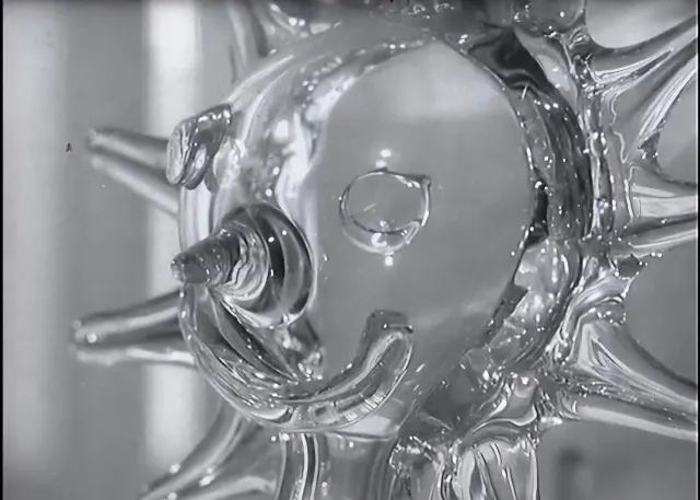 Žena sklo a květiny  - fotogalerie